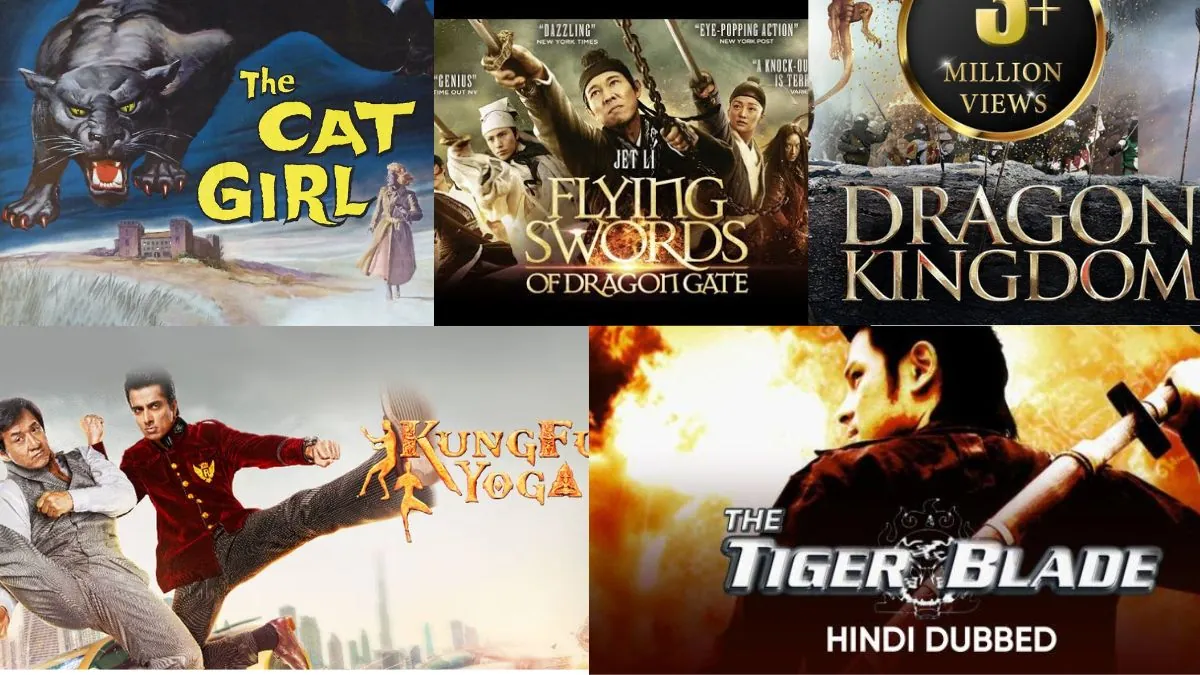 Chinese Movies in Hindi Dubbed